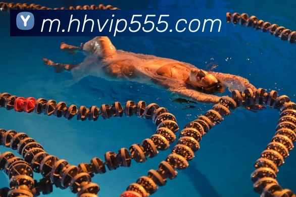 火狐体育官网首页平台生态图